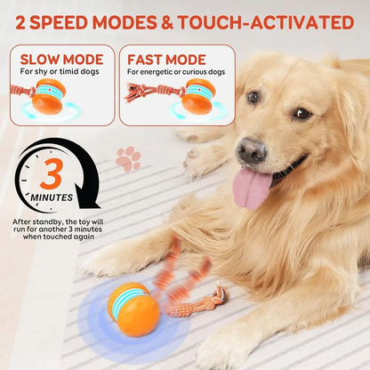 🐶The Oceahade™ – Keep Your Pet Relaxed, Happy & Content for Cat🐱 & Dog🐶