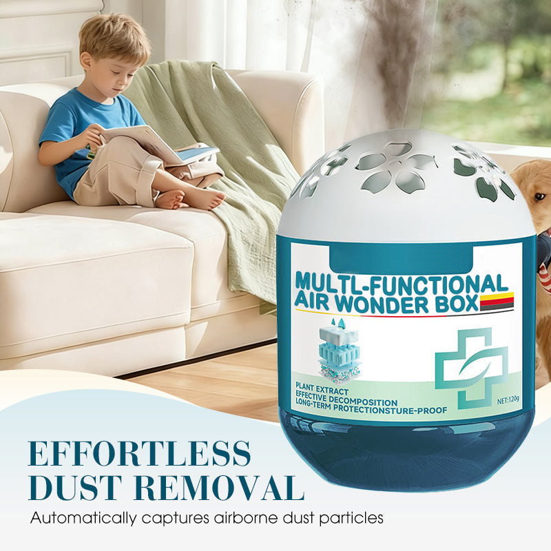 🔥2026 New Collection - Limited-Time Pre-Sale⏰Indoor Air Purification Dust Removal Magic Box🏠🌿