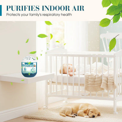 🔥2026 New Collection - Limited-Time Pre-Sale⏰Indoor Air Purification Dust Removal Magic Box🏠🌿